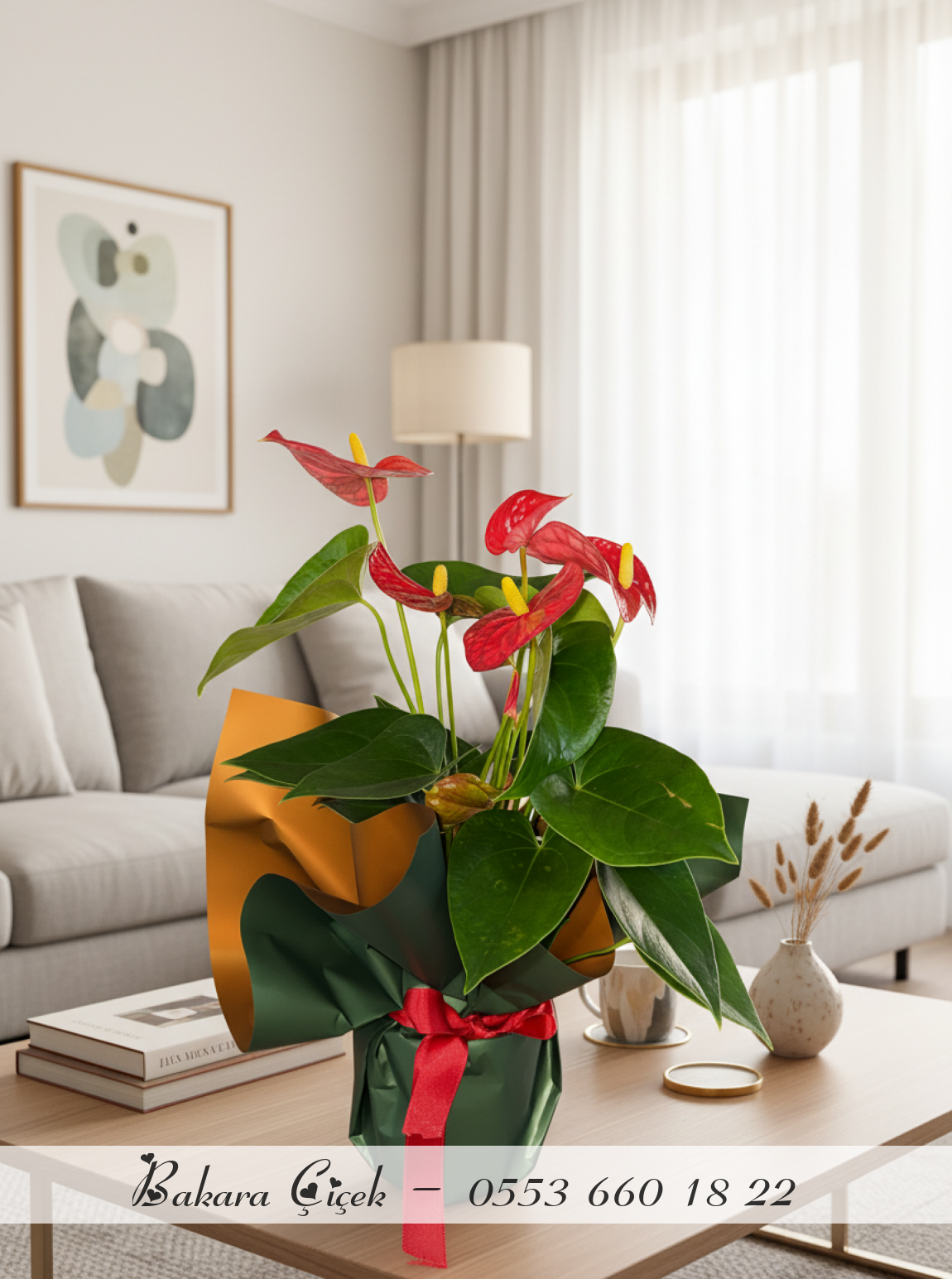 Antoryum Saksı Çiçeği