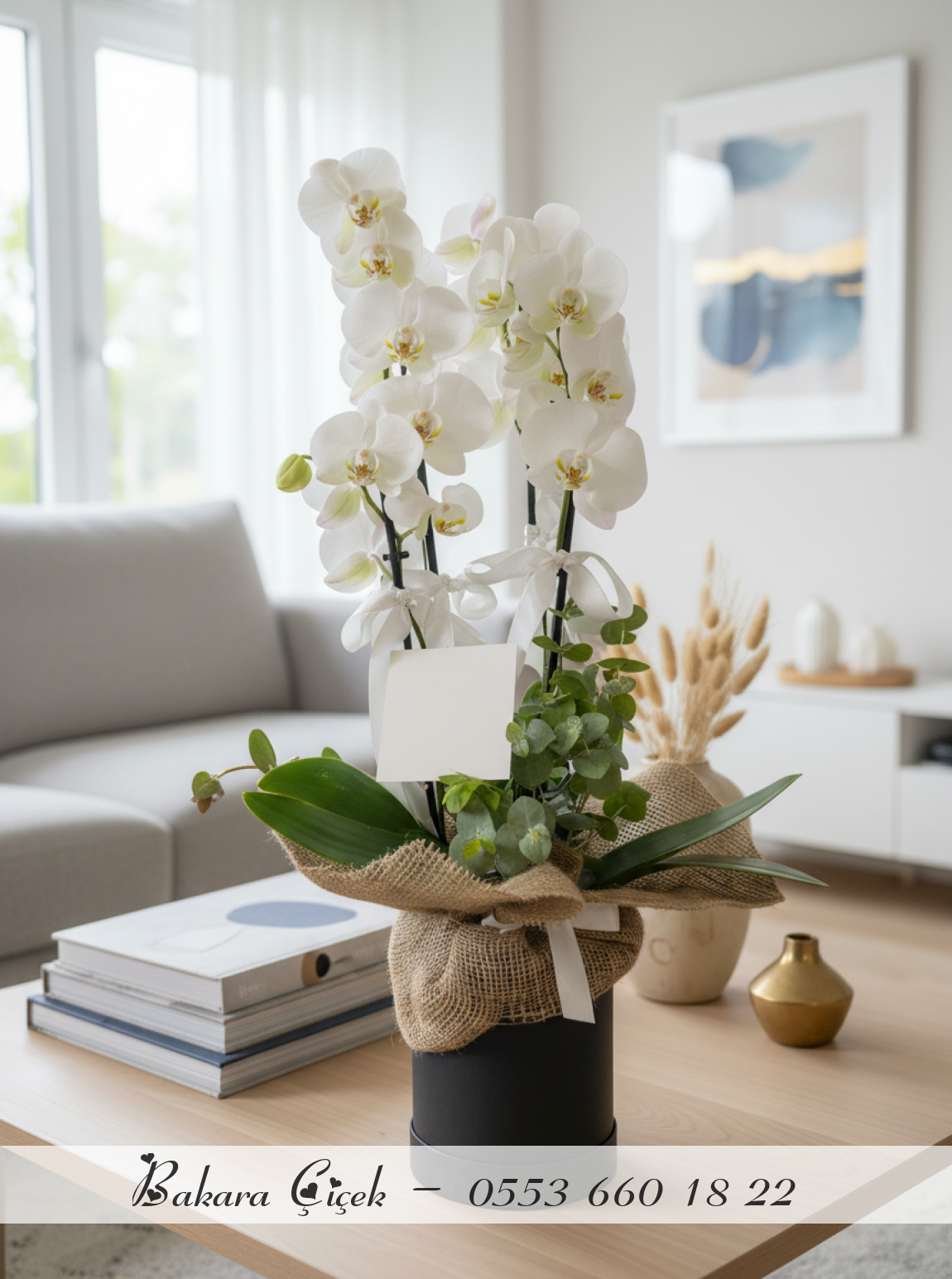 Kutuda 4 Dallı Orkide