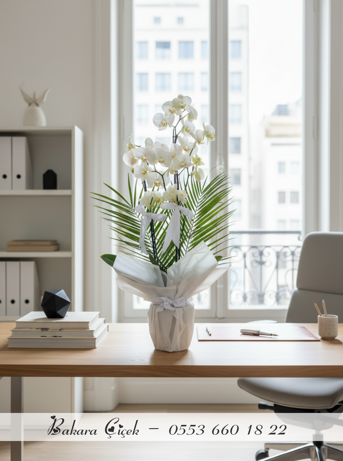 Premium Beyaz Çift Dal Orkide