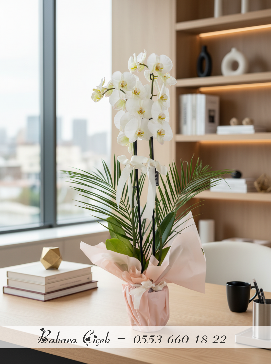 Premium Beyaz Orkide